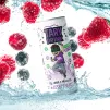 Tary Drink, Voda Lesní Ovoce 250ml – Karton (24 ks)