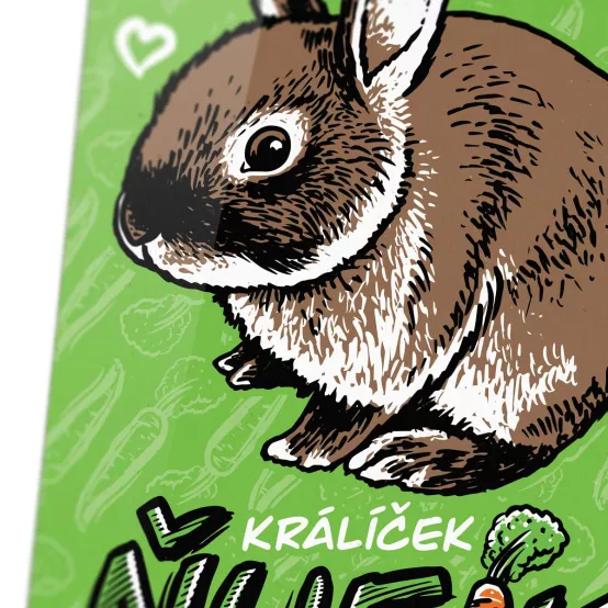 Plakát Králík Ňufík