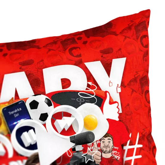 Polštář 3D YouTuber Tary
