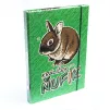 Box na sešity A4 Ňufík Mrkvičky