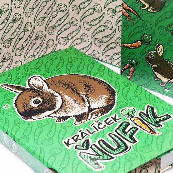 Box na sešity A4 Ňufík Mrkvičky